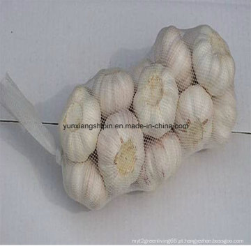 China New Colheita Fresh Garlic Small Bag Embalagem Atacado
